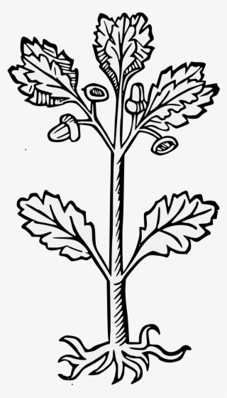 Details, Png #7721106