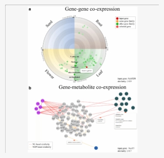 Examples Of Visualization On Co Expressed Genes And - Modelos De Máscara De Carnaval #7722518