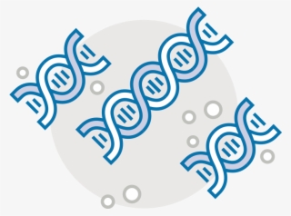 Being Able To Detect Chromosomal Abnormalities, Screen - Illustration #7722674