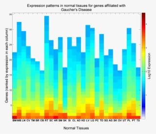Expression Patterns In Normal Tissues For Genes Affiliated - Graphic Design #7722855