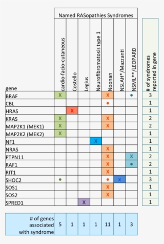 Rasgenes - Rasopathies Genes #7723546