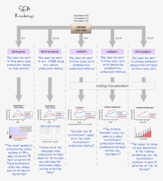 The Site Offers Five Different Methodologies For The - Diagram #7723570