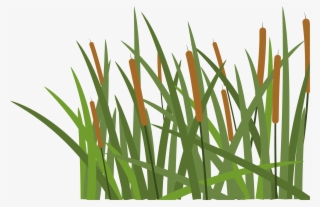 Hoochie's Denton - Grass #7723841