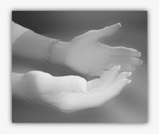 Both Hands - Holding Hands #7724572