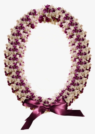 Circle #7724997 Circle #7724997