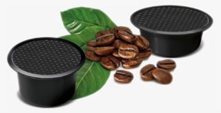 E L - Capsule Caffè Png #7725433