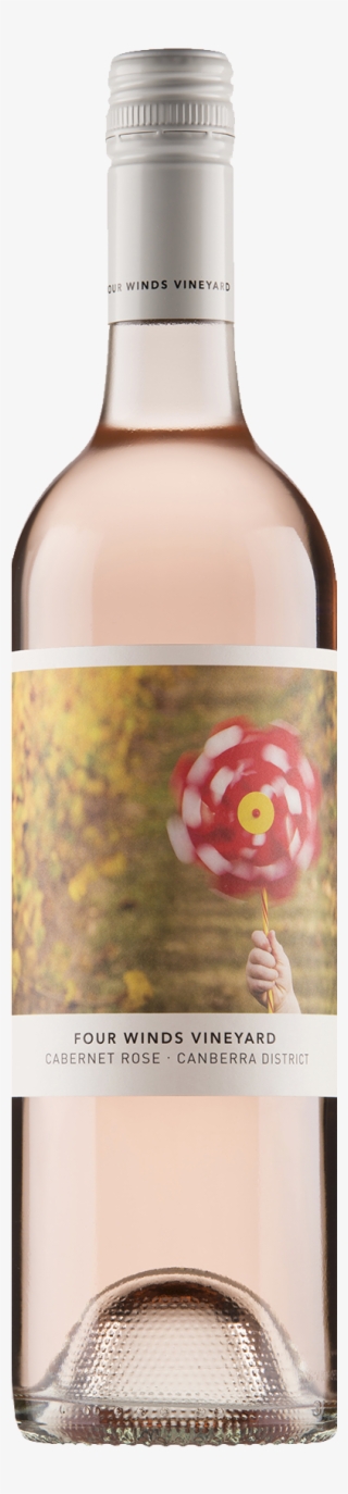 Four Winds Rose #7725504