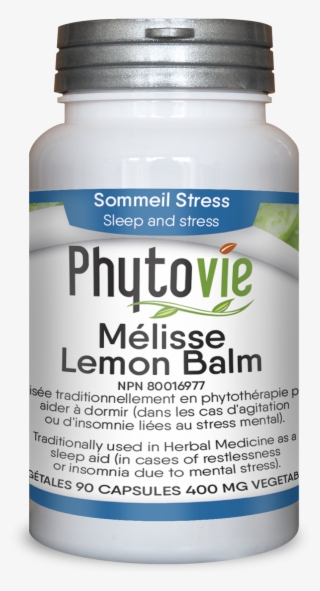 Picture Of Lemon Balm - Shark #7725577