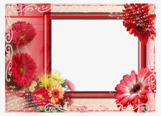 Margaritas - De-colores - Para - La - Foto - De - Tu - Floral Frame #7726028
