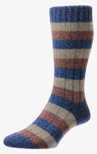Scott Nichol Rib Stripe - Sock #7727792