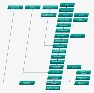 Diagrama Leche En Polvo - Diagrama De Proceso Leche En Polvo #7729214