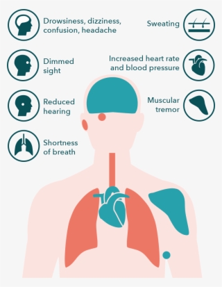 What Are The Effects Of Co2 - Effects Of Co2 #7731676
