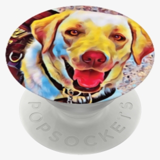 Bobbi The Service Dog, #7731889