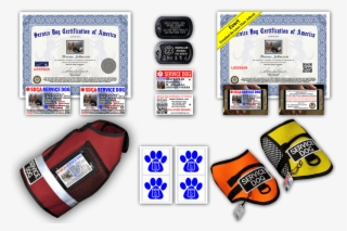 Standard Service Dog Pkg - Poker #7732495