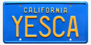 Yesca Prop Plate Movie Memorabilia From Cheech & Chong's - Number #7732590