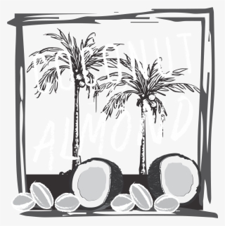 Delicious Dairy -free Nut Milks And Drinks Offer A #7732868