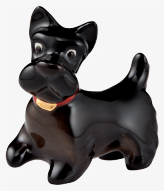 More Views - Companion Dog #7733527