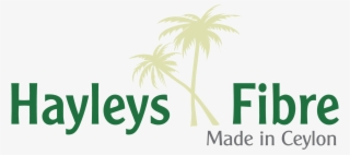 Toyo Cushion Lanka Pvt Ltd - Hayleys #7733888