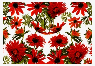 Vector,flower,vector Art,flower Vector,vector Flower - Chrysanths #7734243