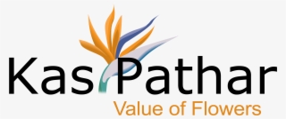 Money Movers #7736377 Money Movers #7736377