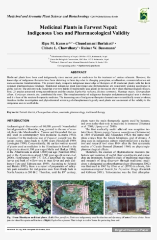Pdf - Folio Thirteen From Burchard Of Sion's De Locis Ac #7736474