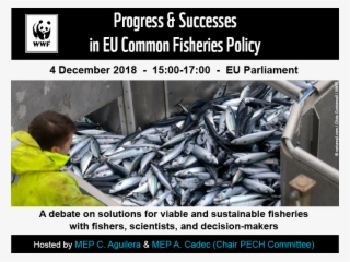 27 Nov - Fish Products #7736515