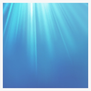 13¢ From The Sale Of Each Wild Selections® Product - Lamp #7736739