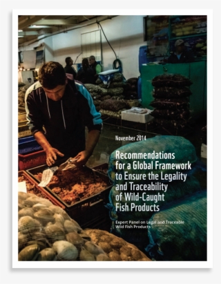 Cover - Mussel #7736811