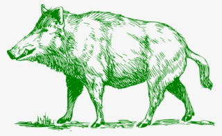The Process - Wild Boar Black And White Clipart #7736847