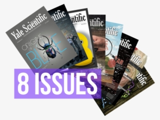 1-year Print - Flyer #7736875