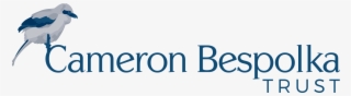 Cameron Bespolka Trust #7736885
