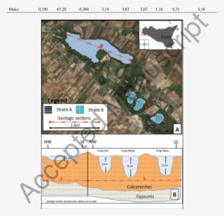 Study Area Of The Gorghi Tondi Wwf Nature Reserve In #7737258