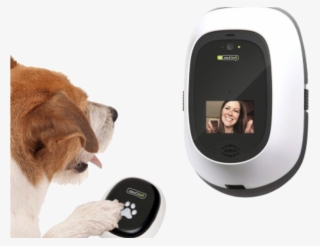 Shiny New Gadget Of The Month - Petchatz #7737259