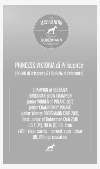 Princess Viktoria Di Prisconte - Kangaroo #7737442
