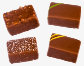 Fil Dragon Collection - Chocolate #7739027