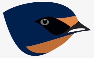 Download Png Image Report - Swallow Bird Head Png #7739110