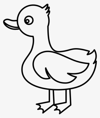 오리 Png 무료다운로드 Duck Png - 오리 Png #7739393