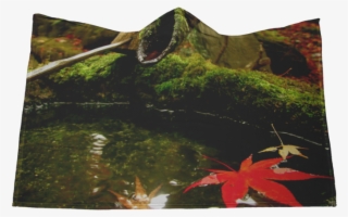 蹲踞に入っている紅葉 Tsukubai With Momiji Leafe - Kyoto #7743047