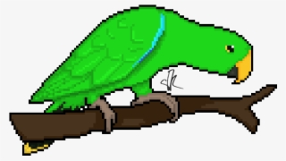 Wikia Visualization Add 2,parrots #7743171