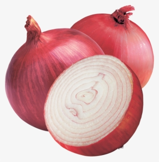 Onion Png Image - Onion Png #7743408