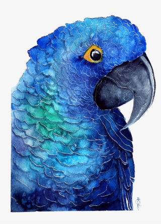 Blue Parrot Download Transparent Png Image - Watercolor Painting #7743517