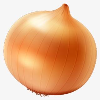 Single Onion Free Png Image - Yellow Onion #7743576