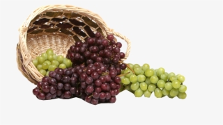 Grapes Png Royalty-free Image - Grapes Scenery #7743654