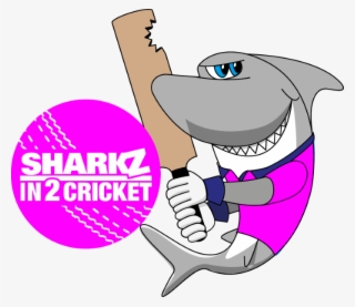 Aldridge Girls Cricket Hubs #7743696