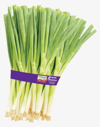 600 X 753 4 - Organic Green Onions #7744350