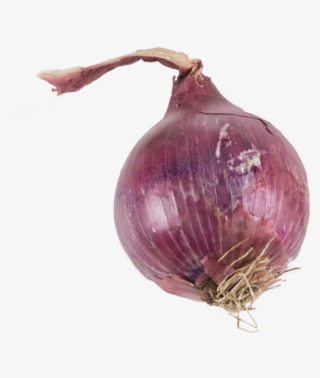 Onion - Red Onion #7744432