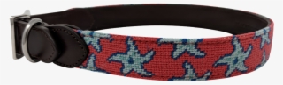 Starfish Nautical Needlepoint Dog Collar Left - Buckle #7744782