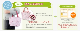 20181025 Img Present - Handbag #7745403