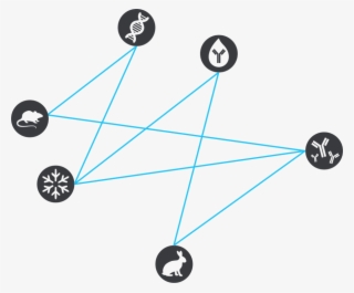 Receive Ipa News & Alerts - Diagram #7745759