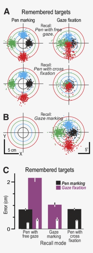 Hand And Gaze Behavior During Recall - Boxing #7745973